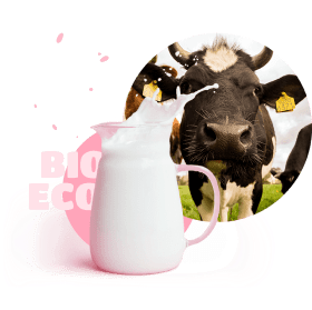 Cow and milk